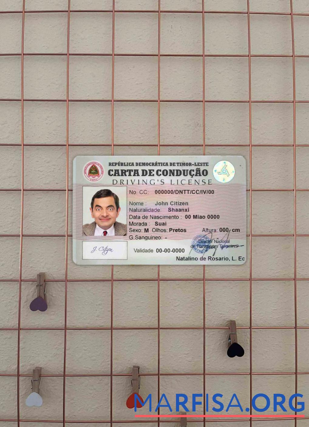 Blank Timor Leste DL photolook real example